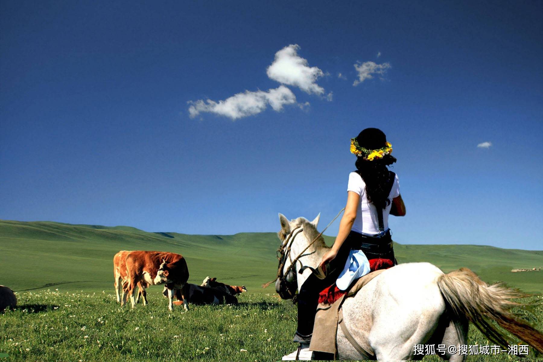 去内蒙古呼伦贝尔五天四夜自由行攻略 ,导游怎么找?