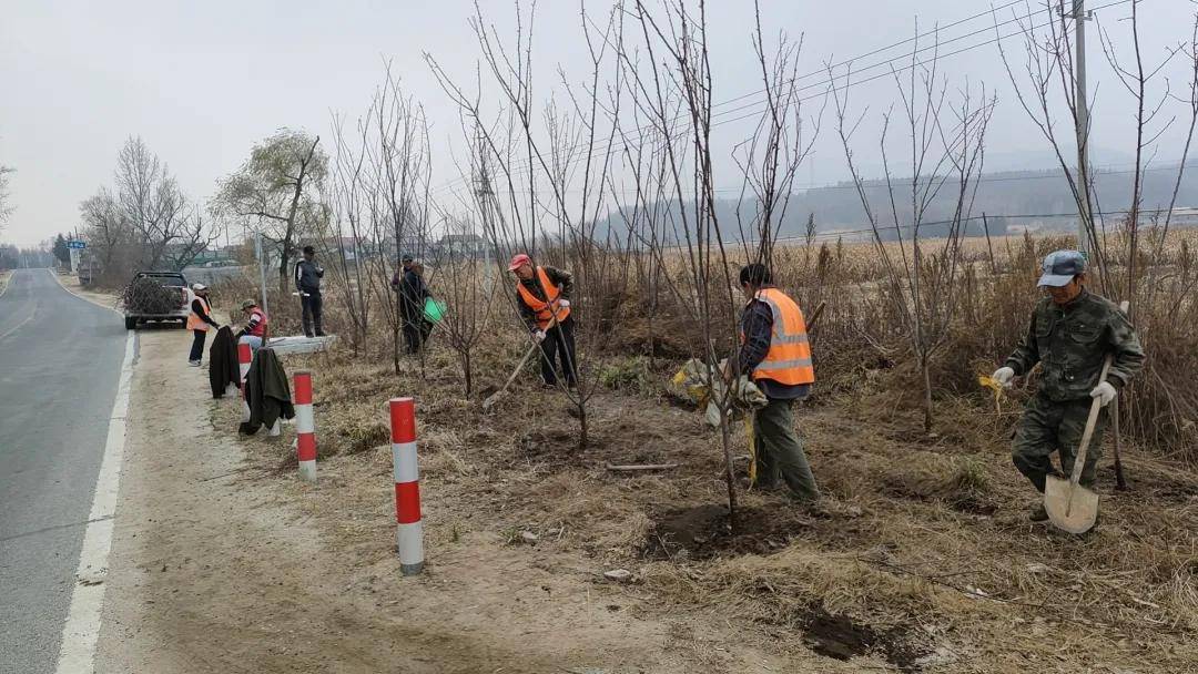 绿美蛟河在行动 | 林业部门春季造林有"三招"