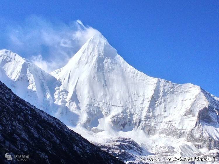 2,贡噶山牦牛河清澈的水流在这里欢快奔流,沟内植物资源丰富,原始