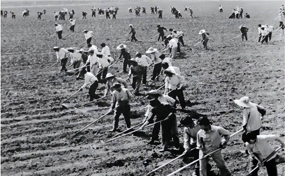 2009年,我国最后一名知青回京,滞留北大荒41年后,战友来接他