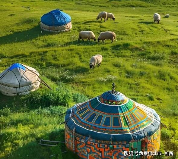 内蒙古三日游路线安排 是不是只有内蒙牧场的小羊才这么可爱