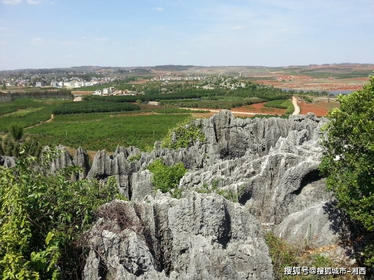 早餐后,在【洱海】西岸开始另一种体验,乘坐酷酷的【敞篷吉普车】