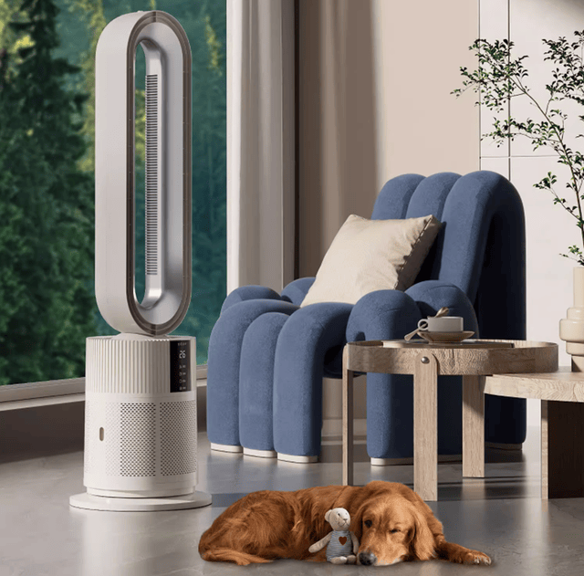 电风扇排名前十位品牌:2024精品盘点推荐