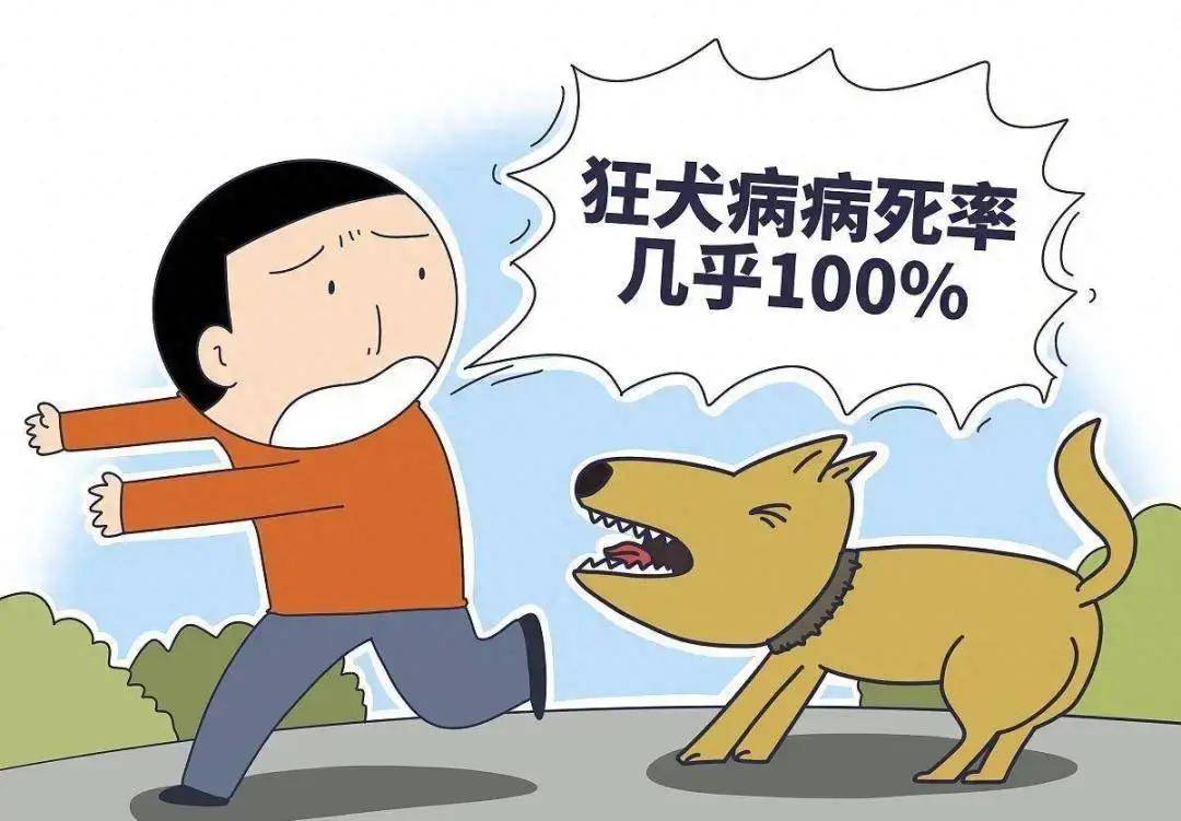 夏天到,犬狂躁,这些狂犬病救命知识要知道!