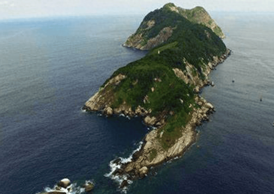 大凯马达岛,是巴西蛇岛的原名,它位于巴西圣保罗州南部海岸35公里处