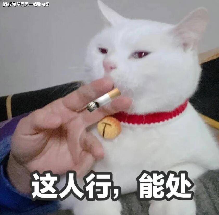 监制爆料,张国荣才是龙卷风,林峯不在选项里_古天乐_谢霆锋_陈洛军