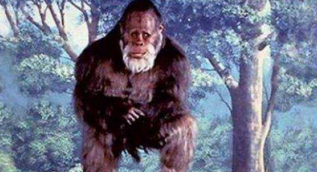 神农架究竟有没有野人?七八十年代,中国三次考察验证其真实性