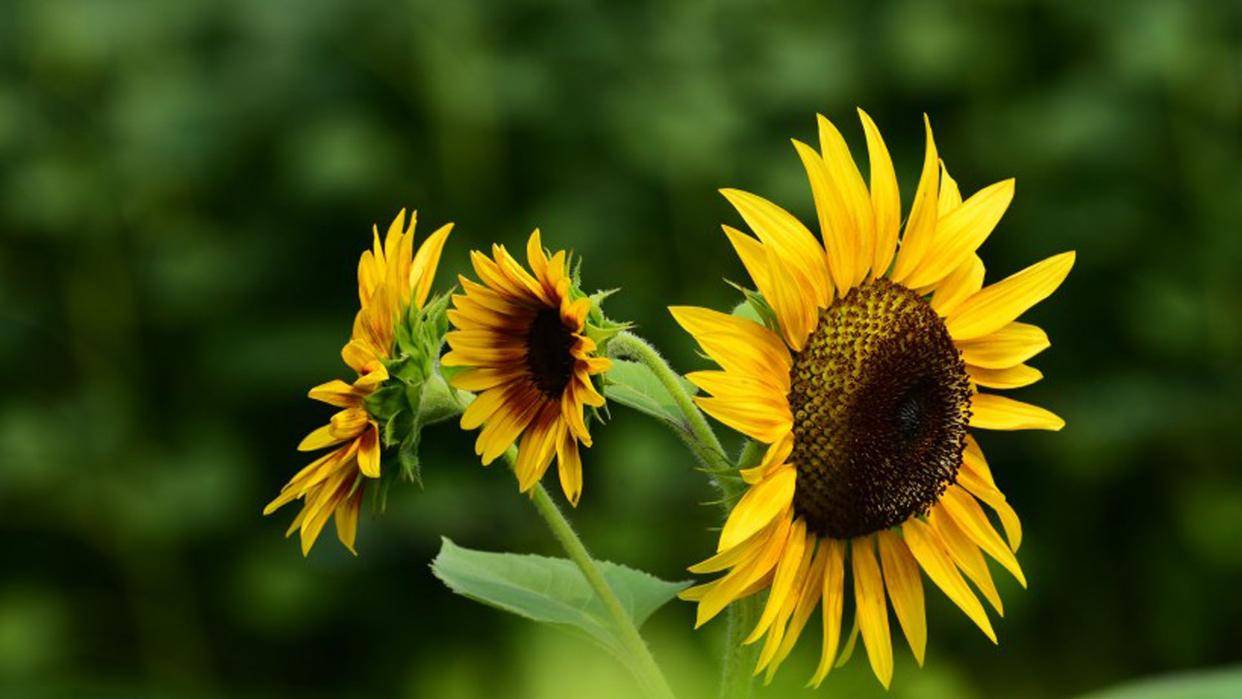 做人,不管跟谁相处,记住这三点,你就赢了!