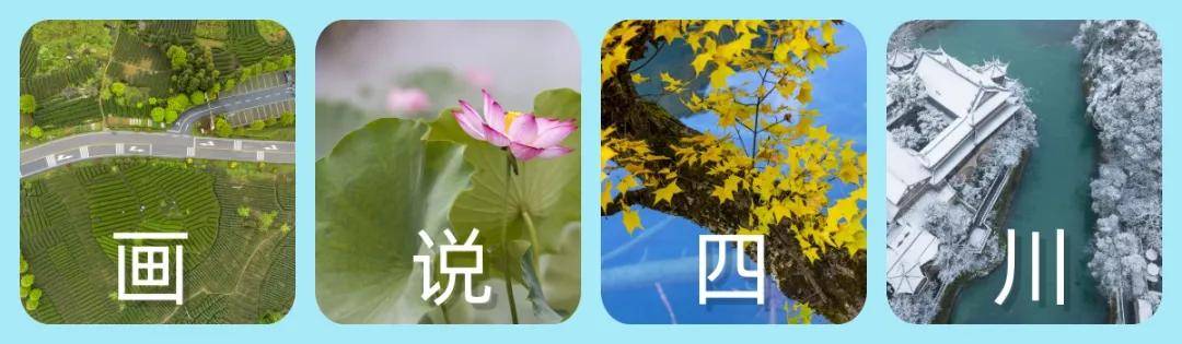 画说四川·通江"一府三乡",不一样的秦巴山水