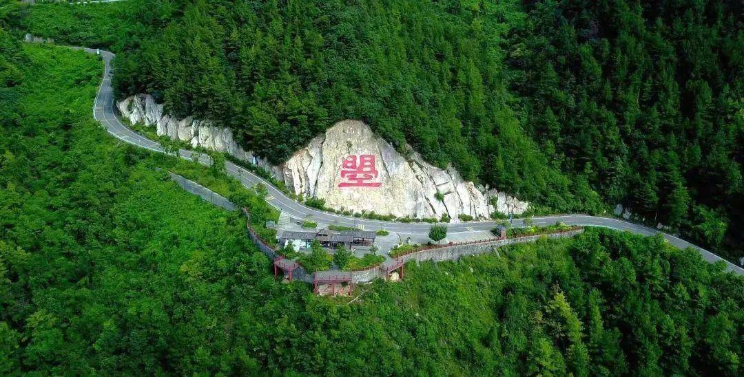 【旅游利州】最惜杜鹃花烂漫,春风吹尽不同攀!_初夏_will_生命力