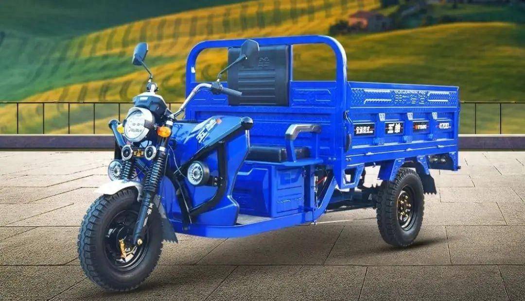 2款货运三轮车来了,配置升级,一次拉货2500斤,五羊,新鸽都有