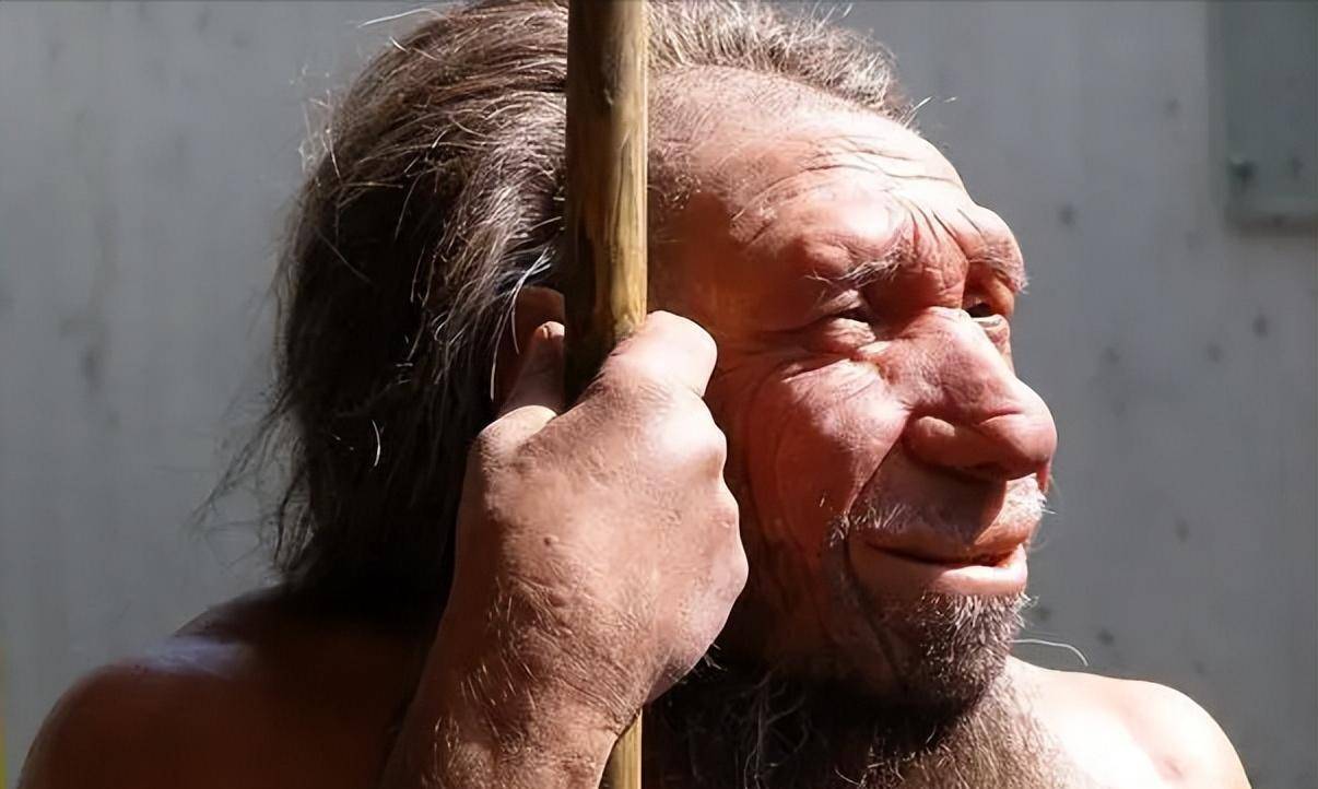 倘若他们还存在的话,人的生存会受到威胁_研究_人类_尼安德特