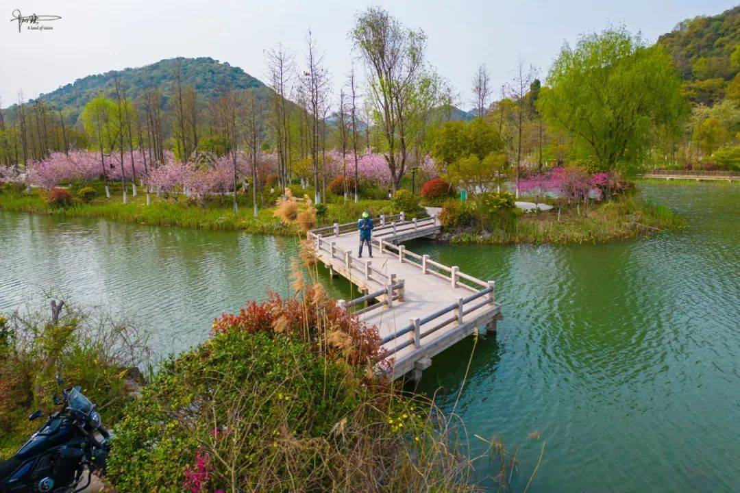 铜鉴湖的春色旖旎如画,是杭州很难得的,"景美人少"好去处
