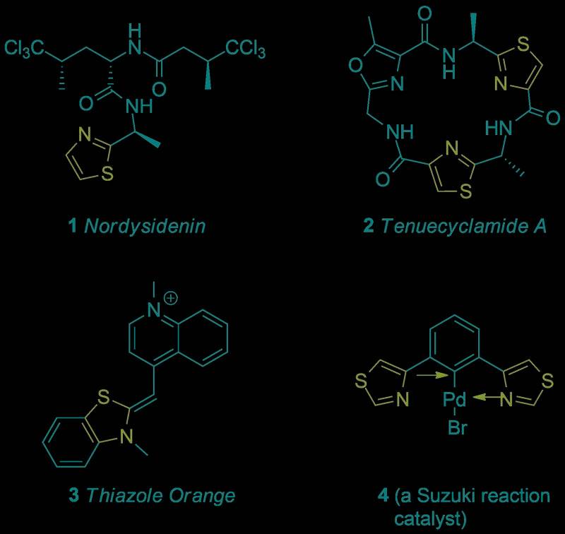 1,3-噻唑砌块在天然产物和合成材料中的应用