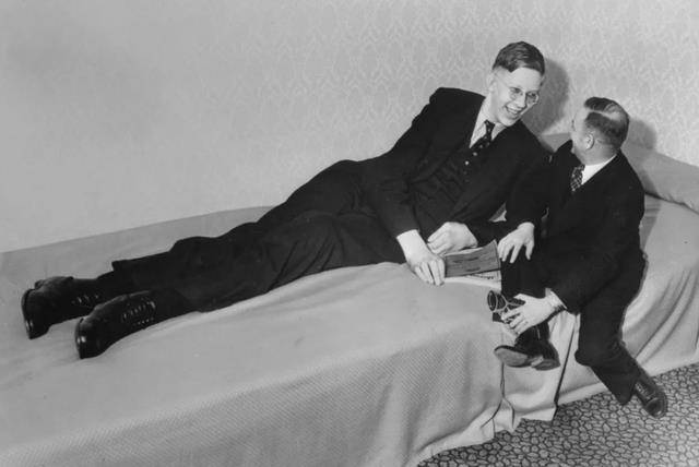 史上最高的人:身高2米72,去世后4万人悼念,为防盗用混凝土浇墓_罗伯特