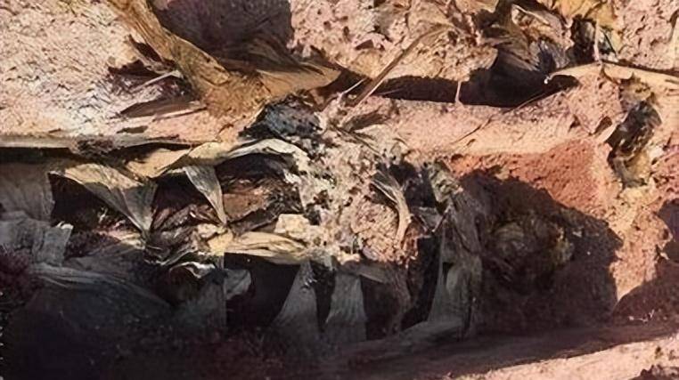 中国三大不腐女尸,一具眉毛都根根分明,另一具血液还在血管流动