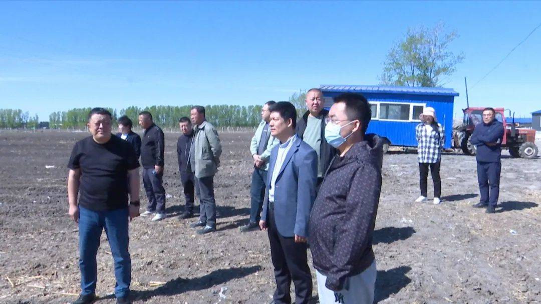 青冈镇全民整治人居环境 打造群众秀美家园