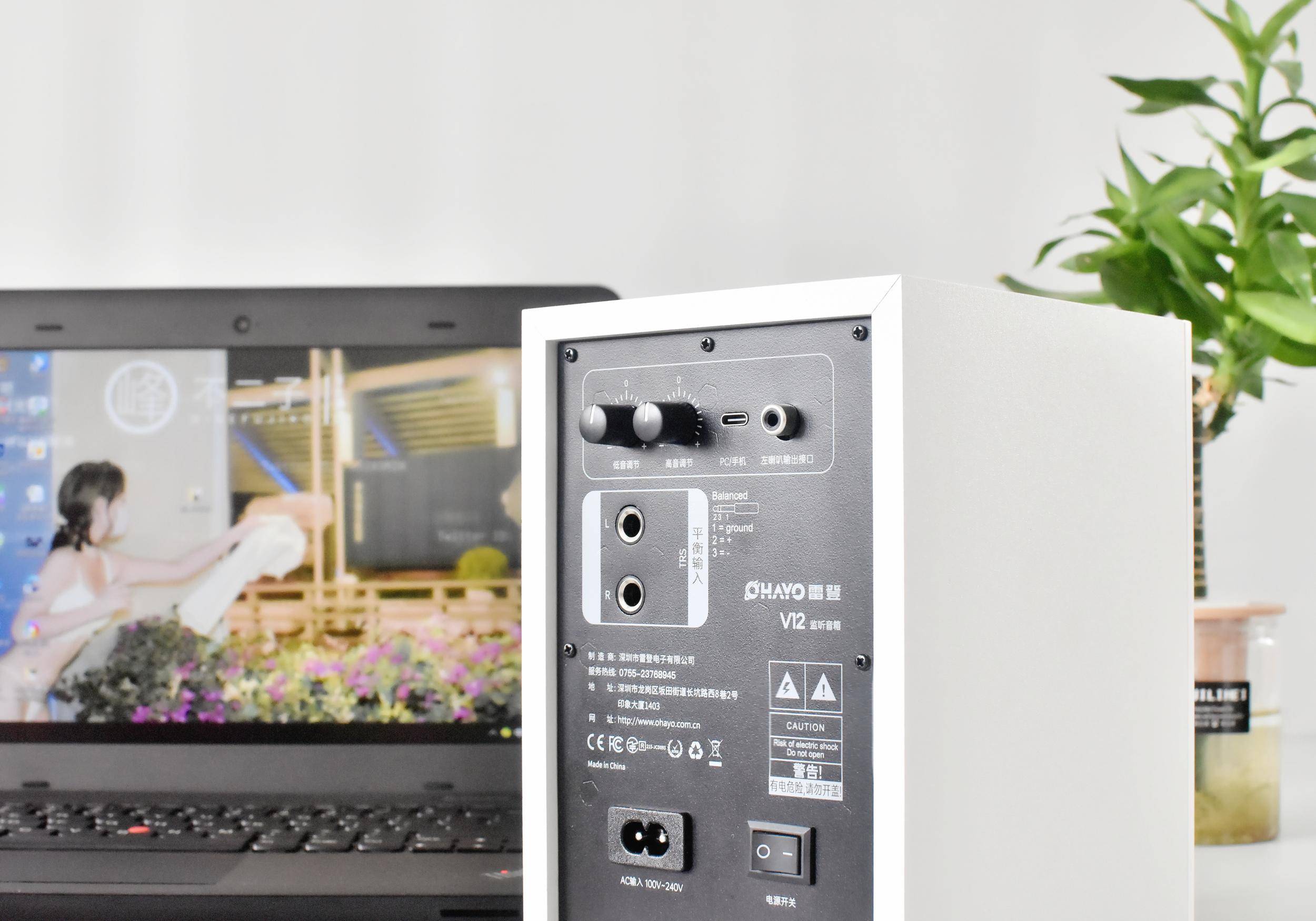 音质惊艳,配置专业,雷登v12高保真有源监听音箱深度体验分享