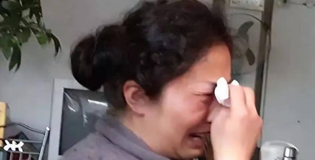 男孩被拐卖,父亲抑郁自杀,25年后母亲发现儿子是好友_智智_丈夫_外公