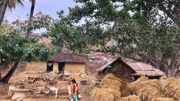 印度一"奇特"村庄,200多人长相一样,专家5个字说明