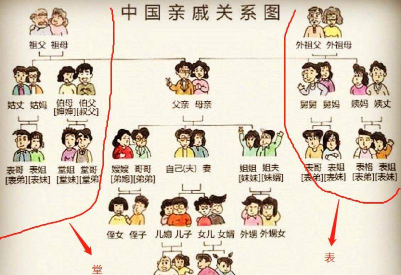 表亲三干里,堂亲五百年,"表亲"和"堂亲"到底哪个更亲?