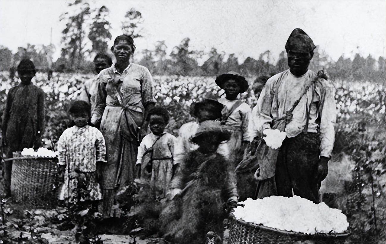 美国女黑奴的悲惨往事:白天采棉花,晚上遭强暴,命运被白人掌握