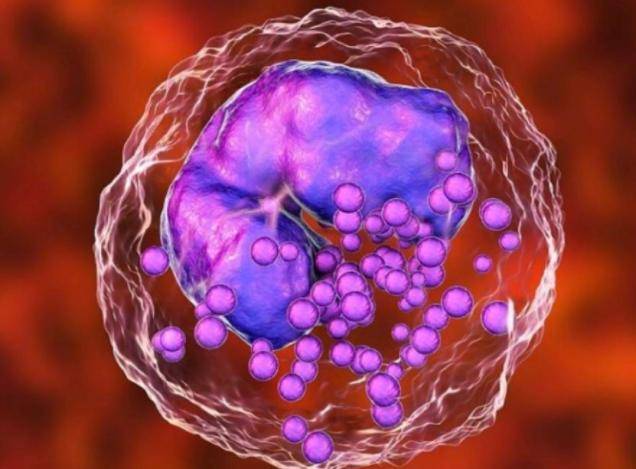 若4项指标升高,需要引起警惕_检查_血液_红细胞