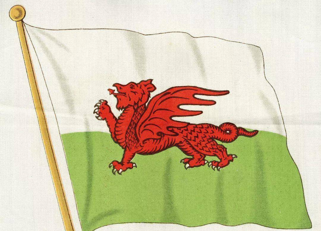 亨利七世登位后,在王室旗帜上增加了威尔士红龙元素,欢迎威尔士贵族