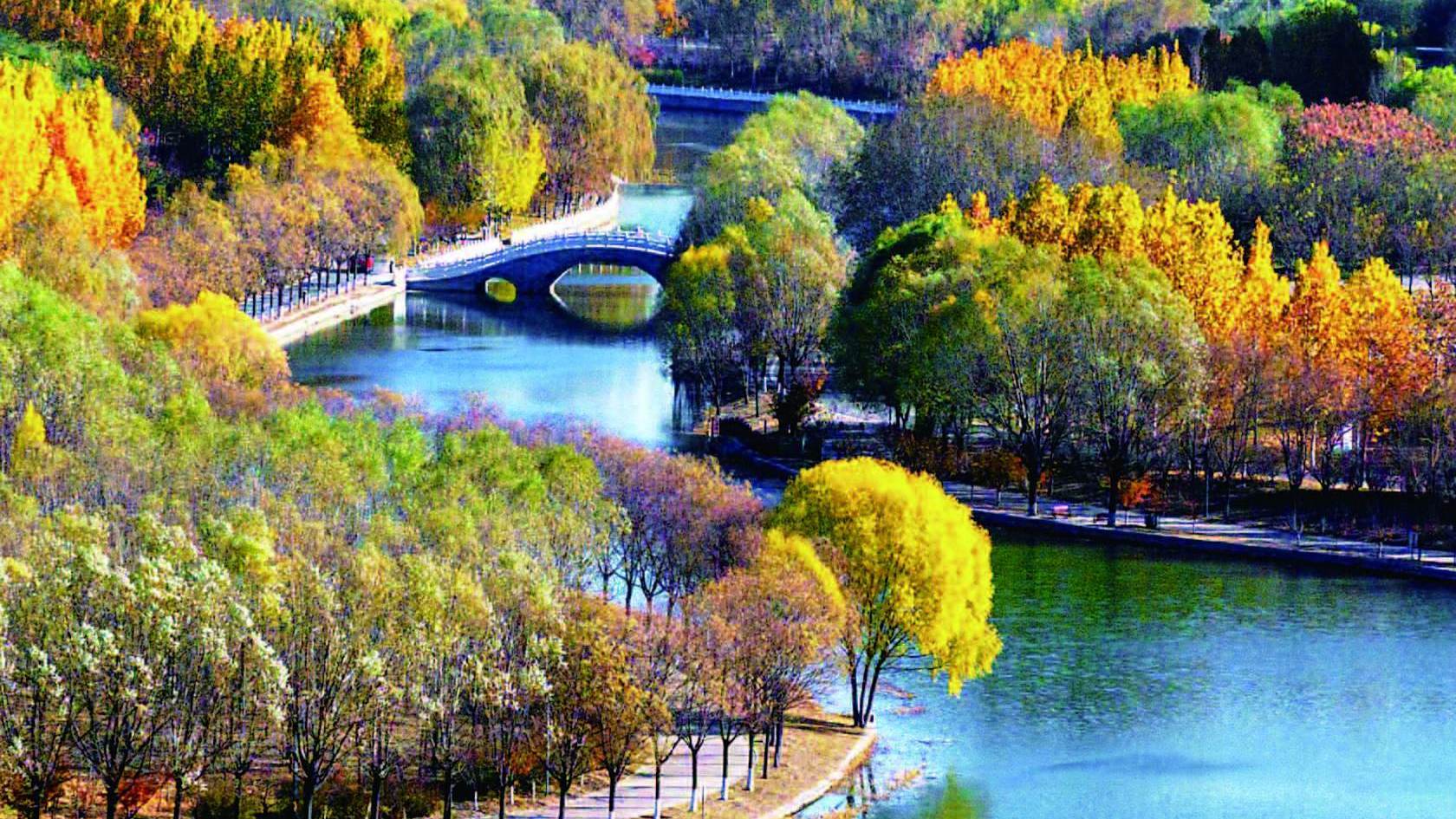 镜头里的滨州邹平市