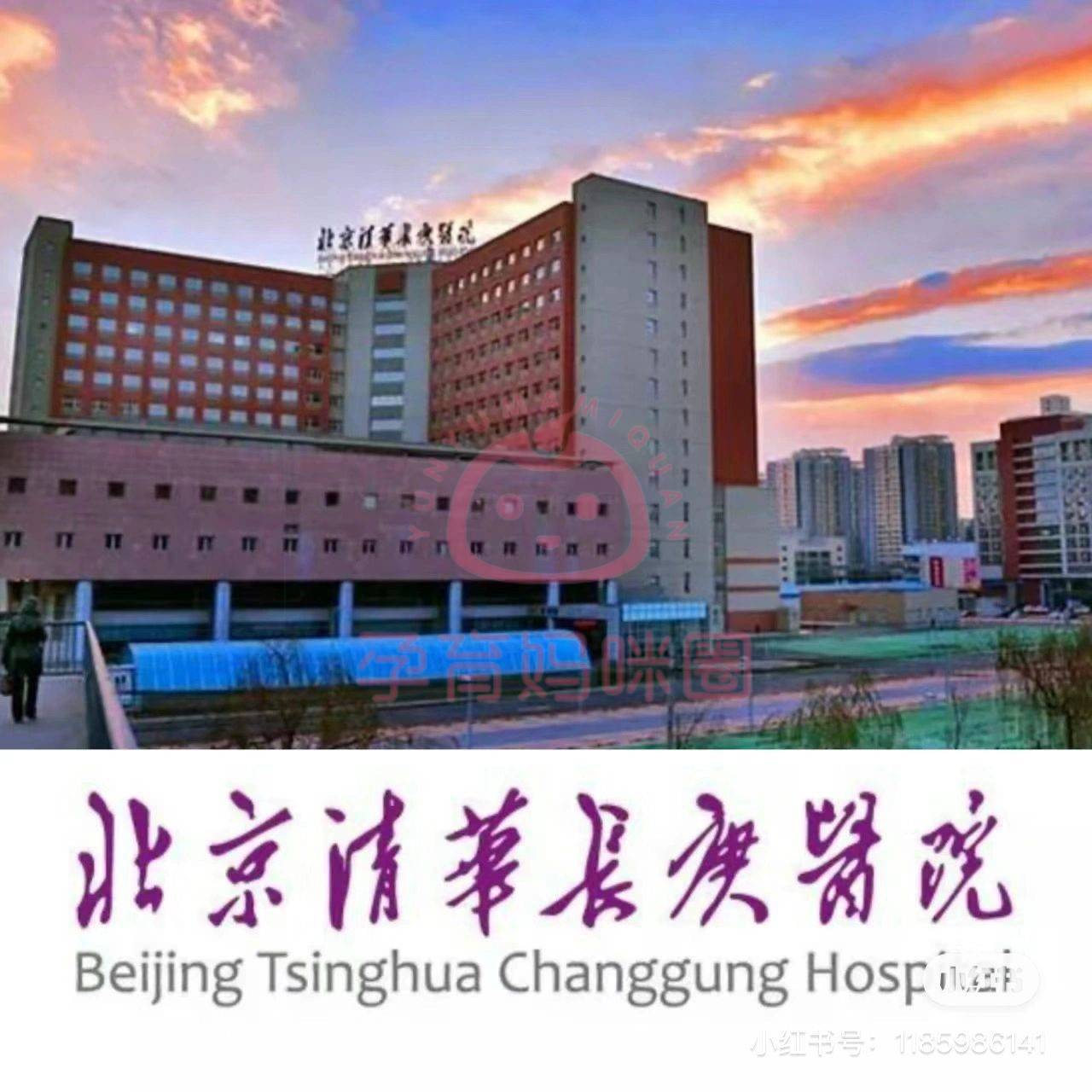 包含清华长庚医院检查陪护加挂号专人协助梳理病情，问诊更切中要害的词条