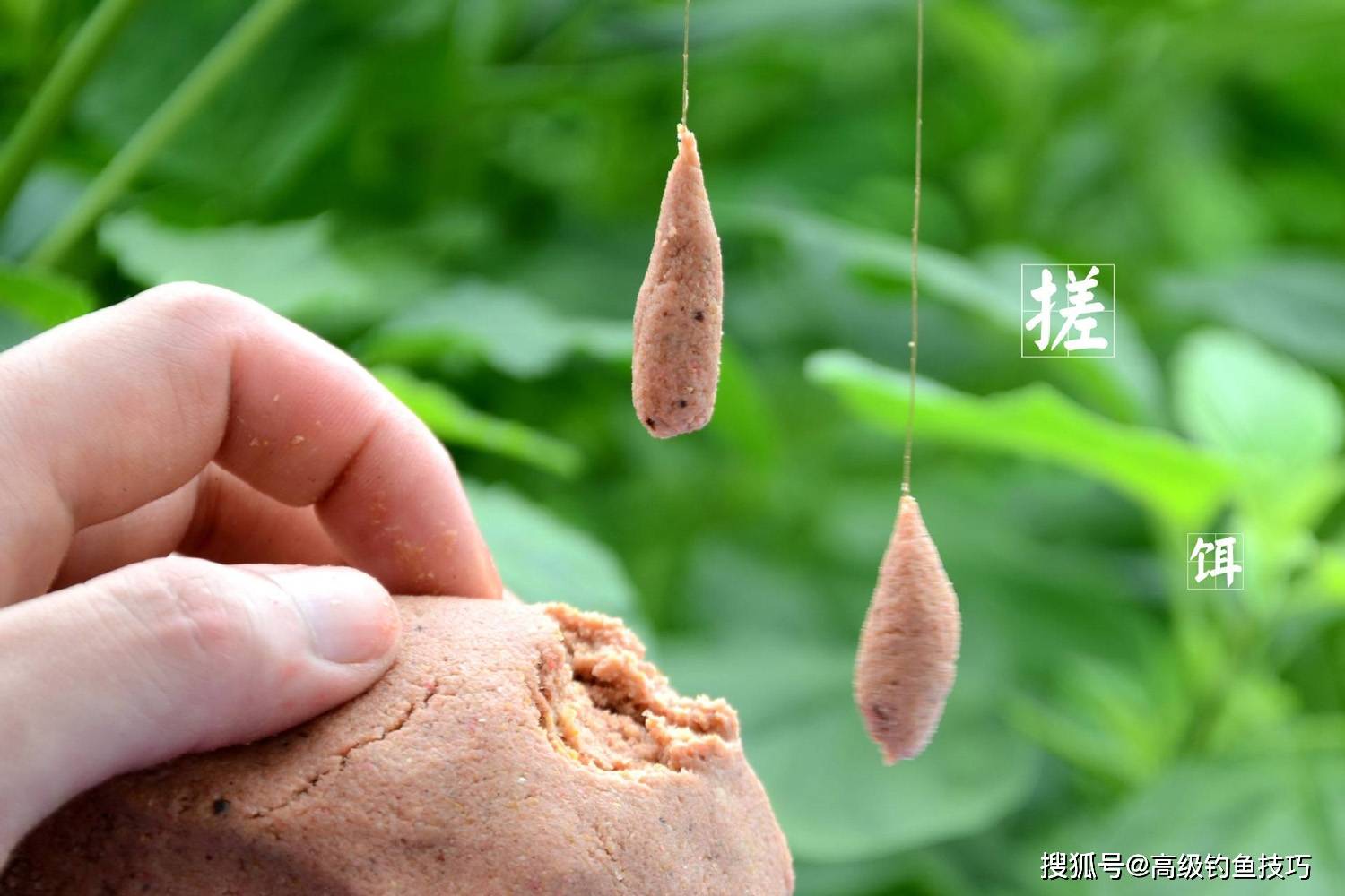 钓草鱼用饵的5句口诀,大幅提升草鱼饵效果