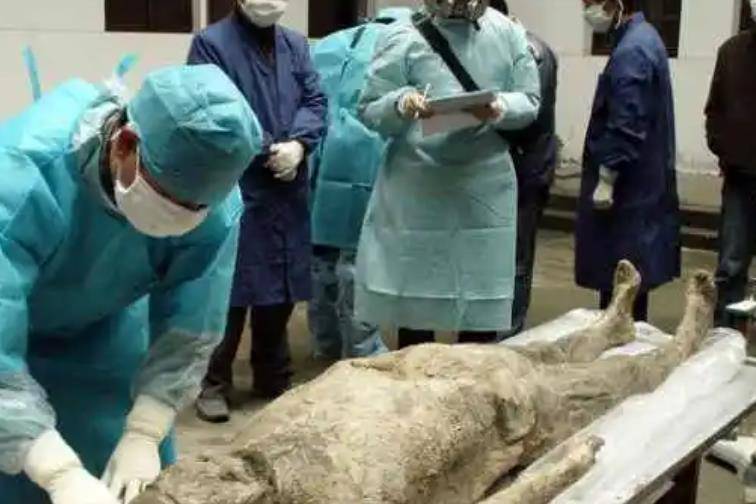 湖北荆门发现中国第一女古尸,血液可在血管中正常流动