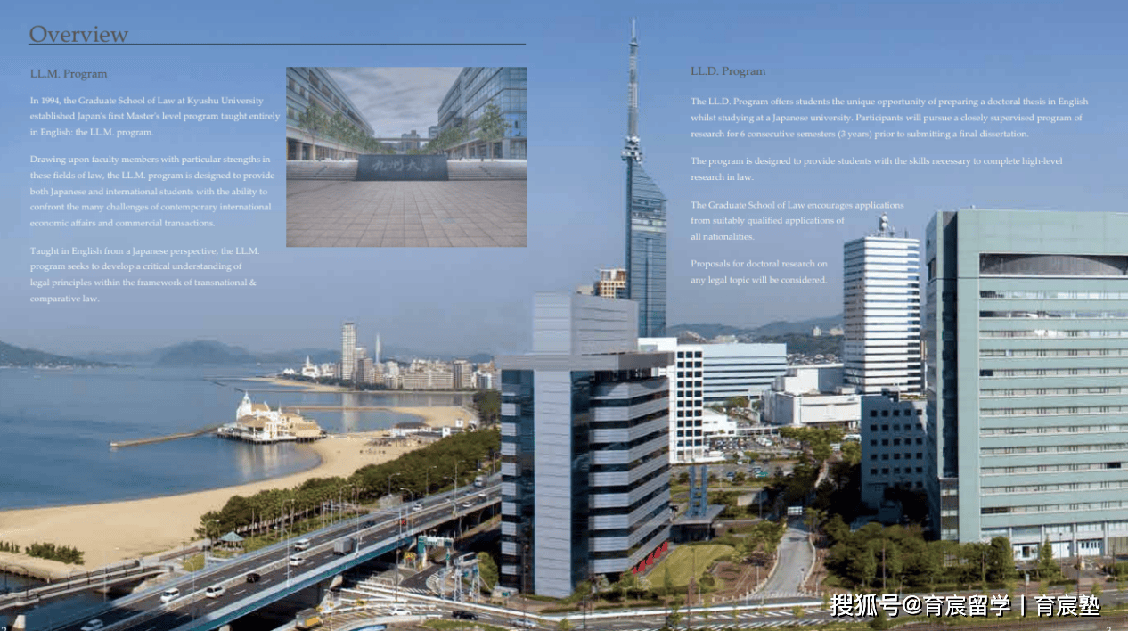 名古屋大学组织结构图图片