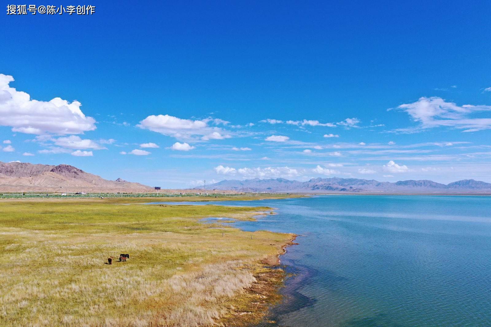 青海尕海湖:鹤舞高原,百鸟翔集,烟波浩渺,水天一色,美呆了!