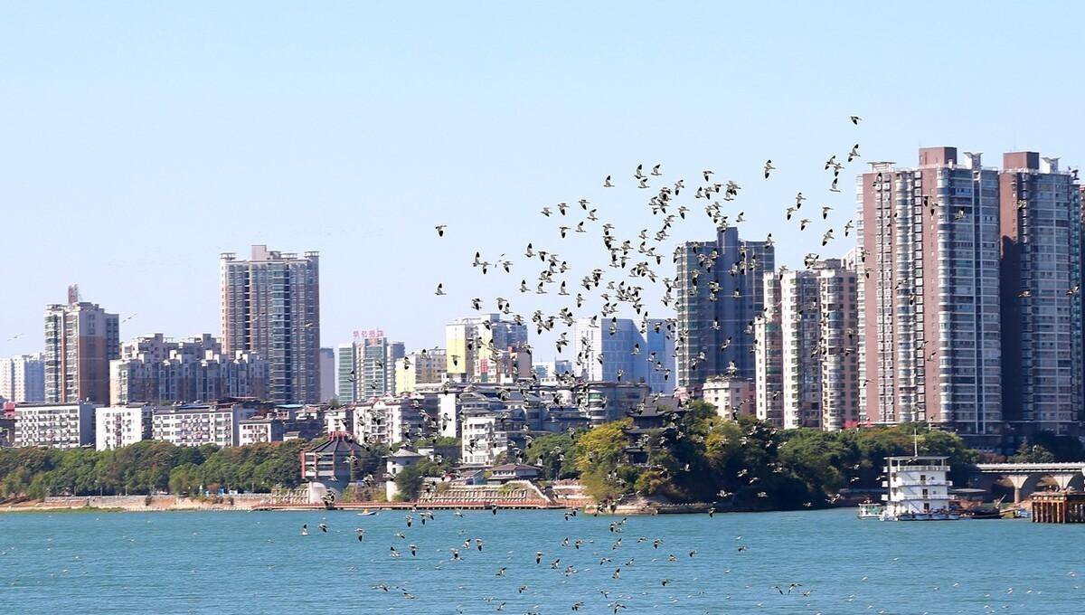 风雨六百年,你知道湖南衡阳各区县廖姓人口各有多少人吗