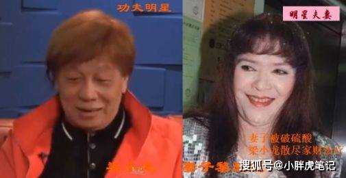 18位功夫明星与另一半颜值对比,元彪和妻子最有夫妻相