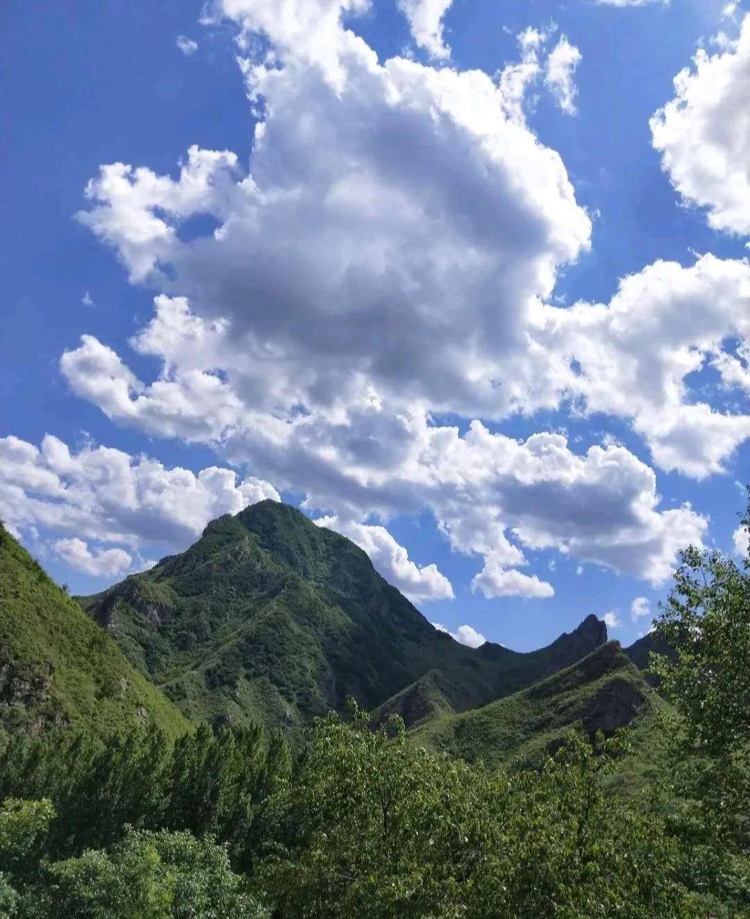 "义和团"遇洋枪受挫,巧设伏"两狼沟"大捷_涞水_石亭镇_杨福同