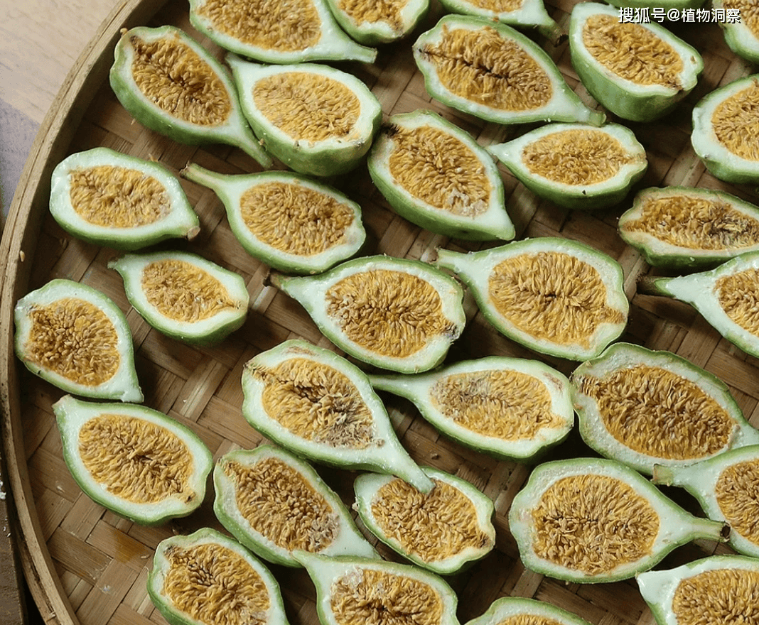 这野果分公母,母果可制作冰凉粉,方法简单,农民朋友要了解!