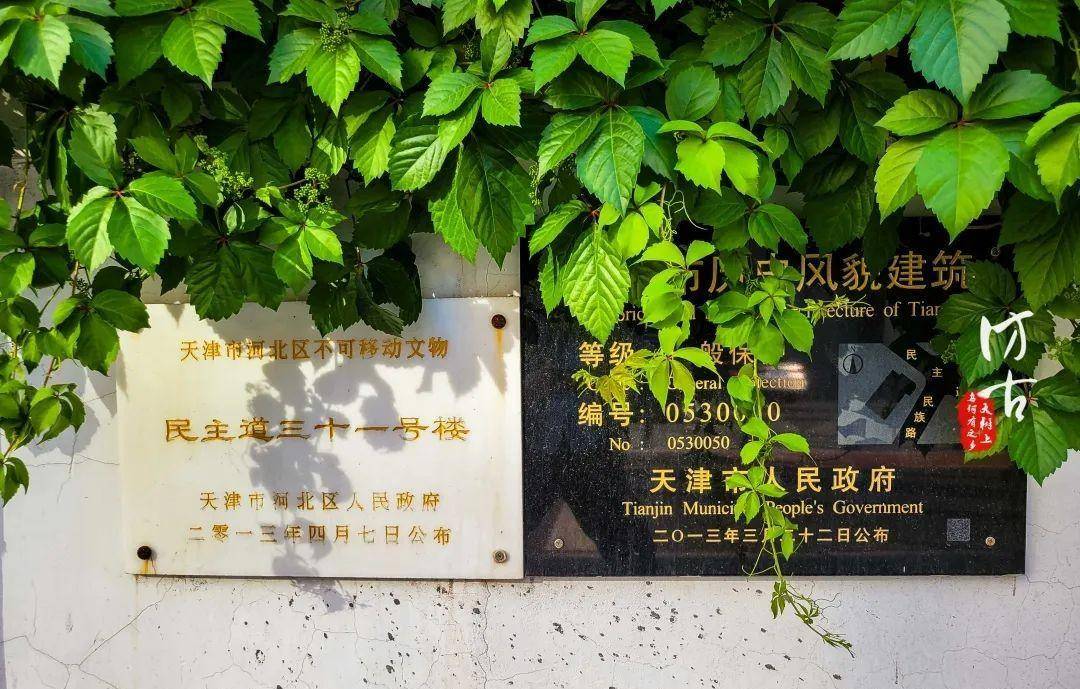 天津民主道上的这栋小洋楼,找不到历史源头,但真的很漂亮_张廷谔_文保