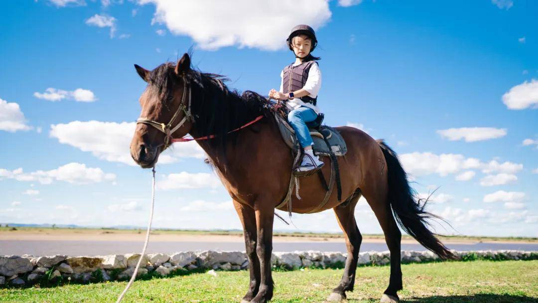 2024斯坦星球亲子研学·内蒙古 呼伦贝尔草原奇遇六天五晚亲子营