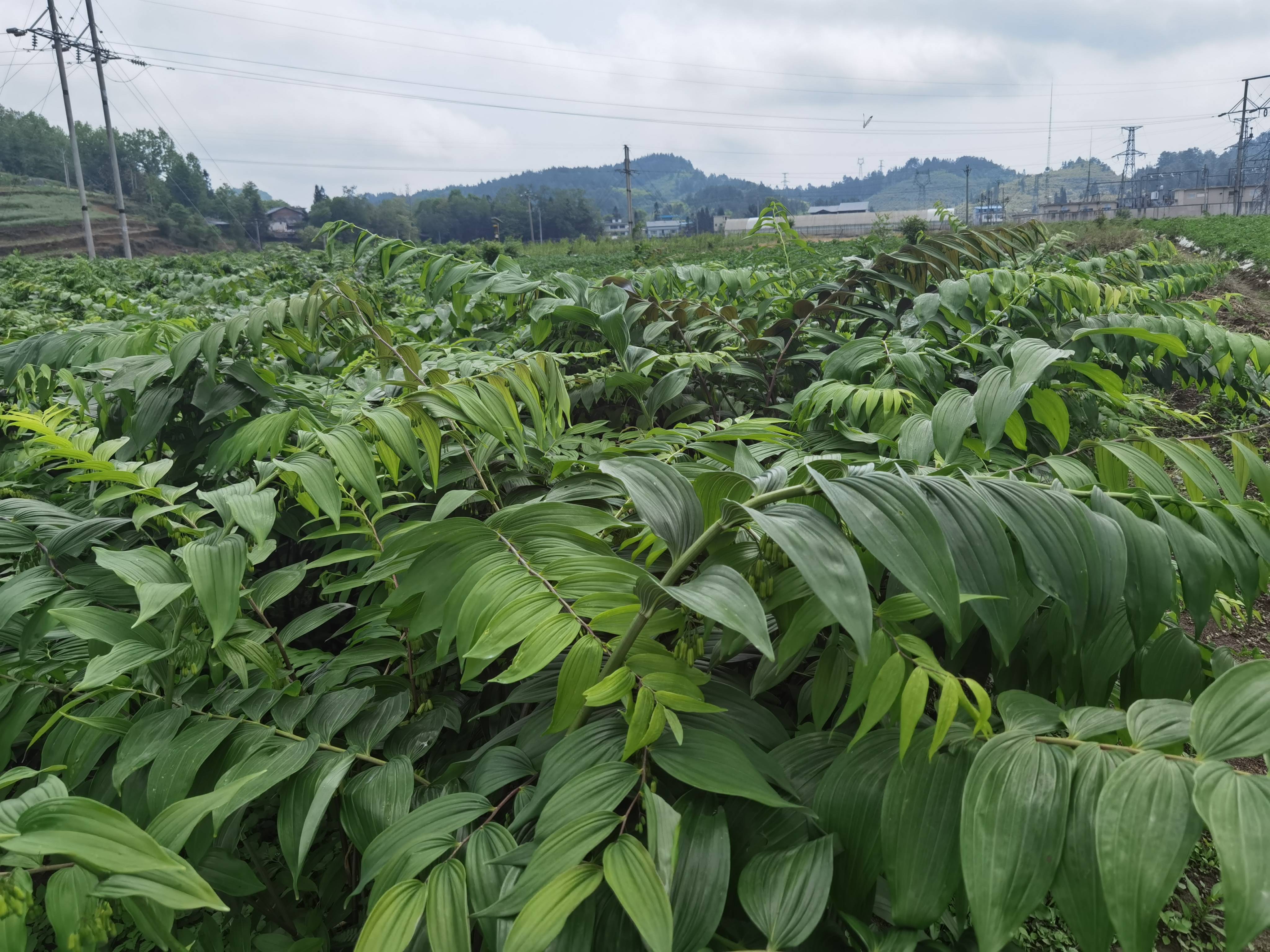 精神滋养 重拾心灵的养分