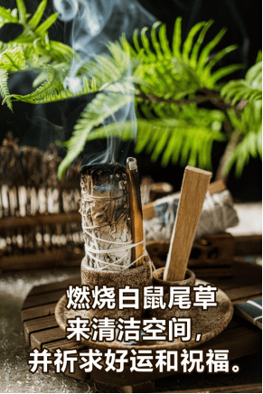 旅行必备:用白鼠尾草喷雾让每一次入住如家般温馨