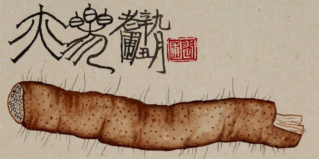 老圃 —— 《问界》 引航未来 开创艺术新纪元