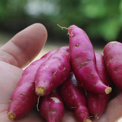 这5种食材是胃病的"克星",睡前吃些,保护胃粘膜,慢慢养好胃