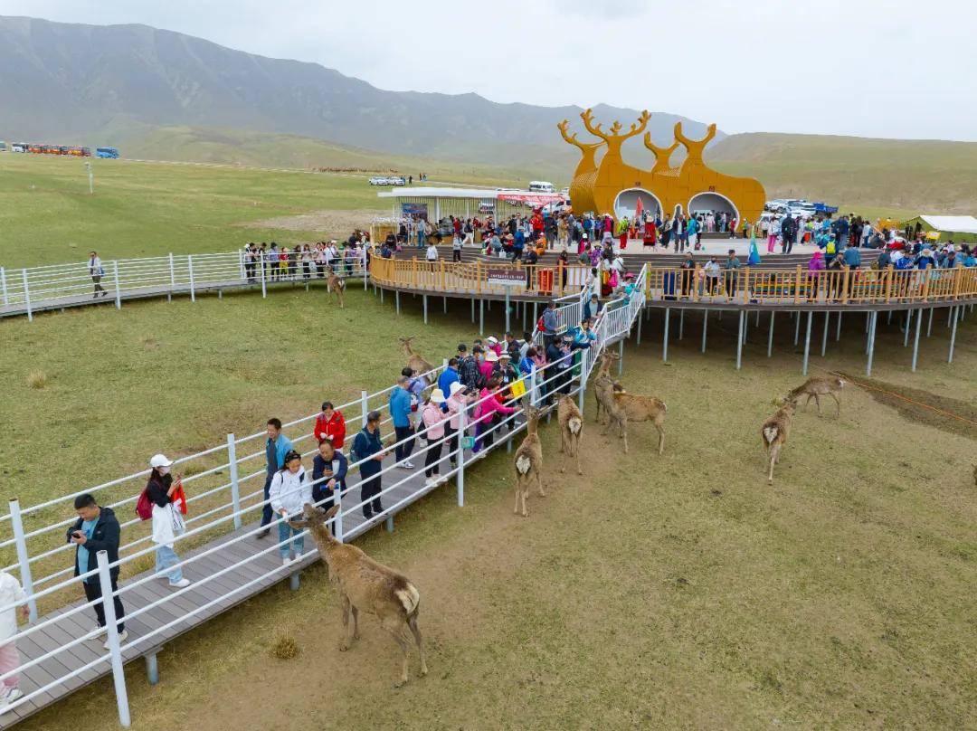 "5.19·我要走"全国徒步联动日祁连山草原徒步活动在肃南神鹿公园举行