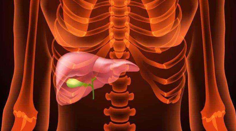 胆管疼痛的位置图片图片