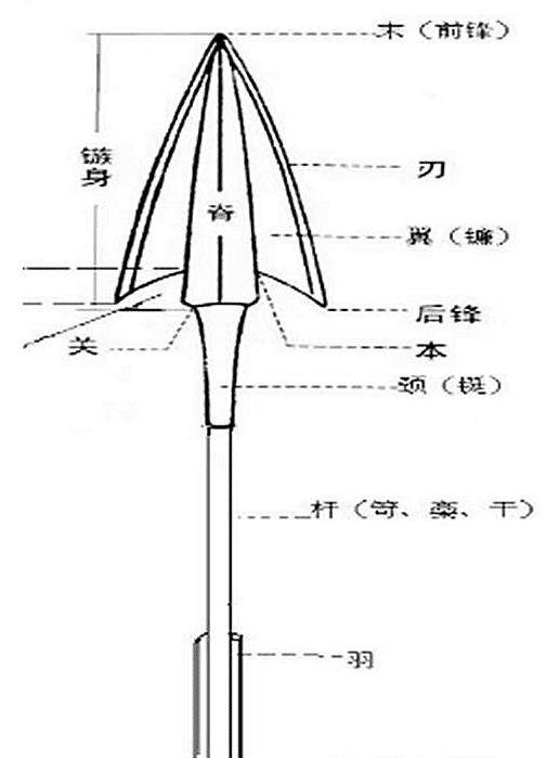 兵马俑不合常理的高科技箭镞,将刃部放大80倍后,才知有多牛