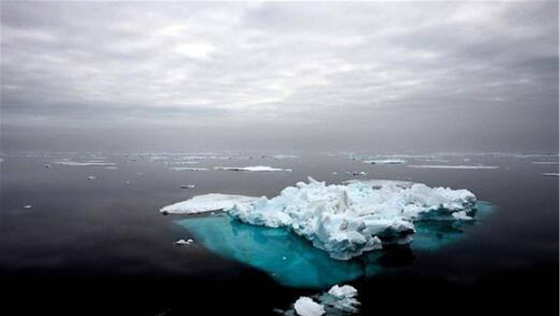 南极冰川持续融化,出现了不该有的东西,科学家称应引起人类警惕