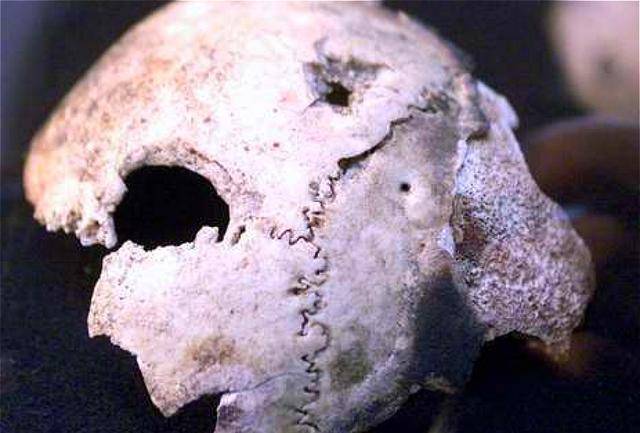 特别小组接收到任务之后,便开始打着防毒气的幌子,在藏有希特勒遗骸的