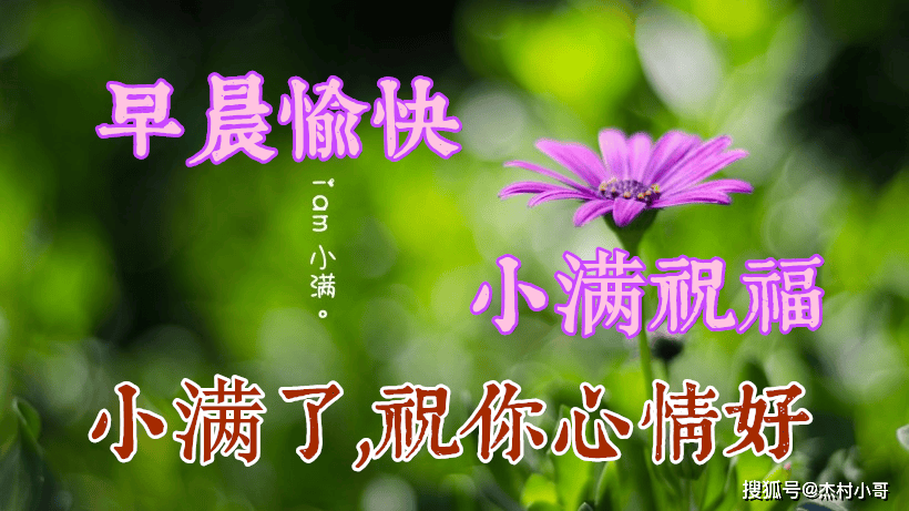 2024年5月20日小满早上好问候语,早安祝福语大全
